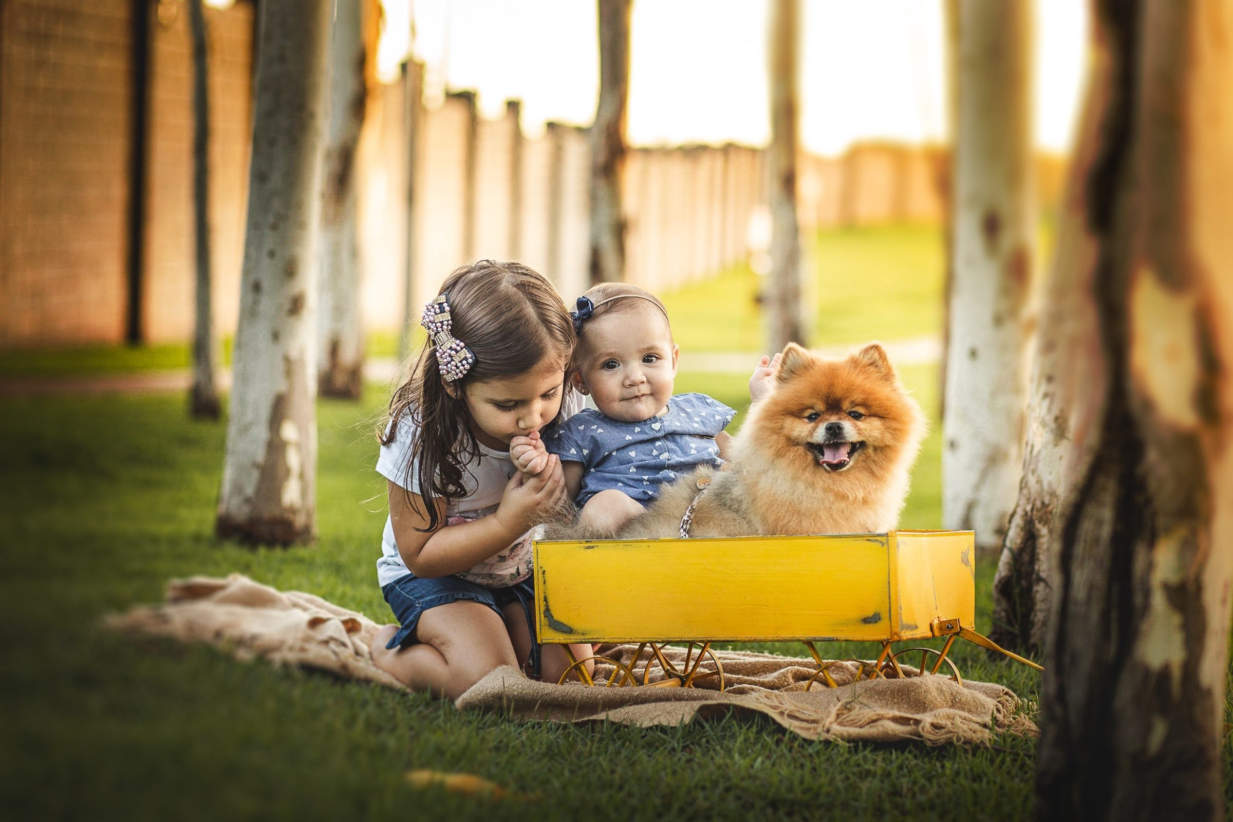 Foto de Falar com: Joyce ou Heber 14