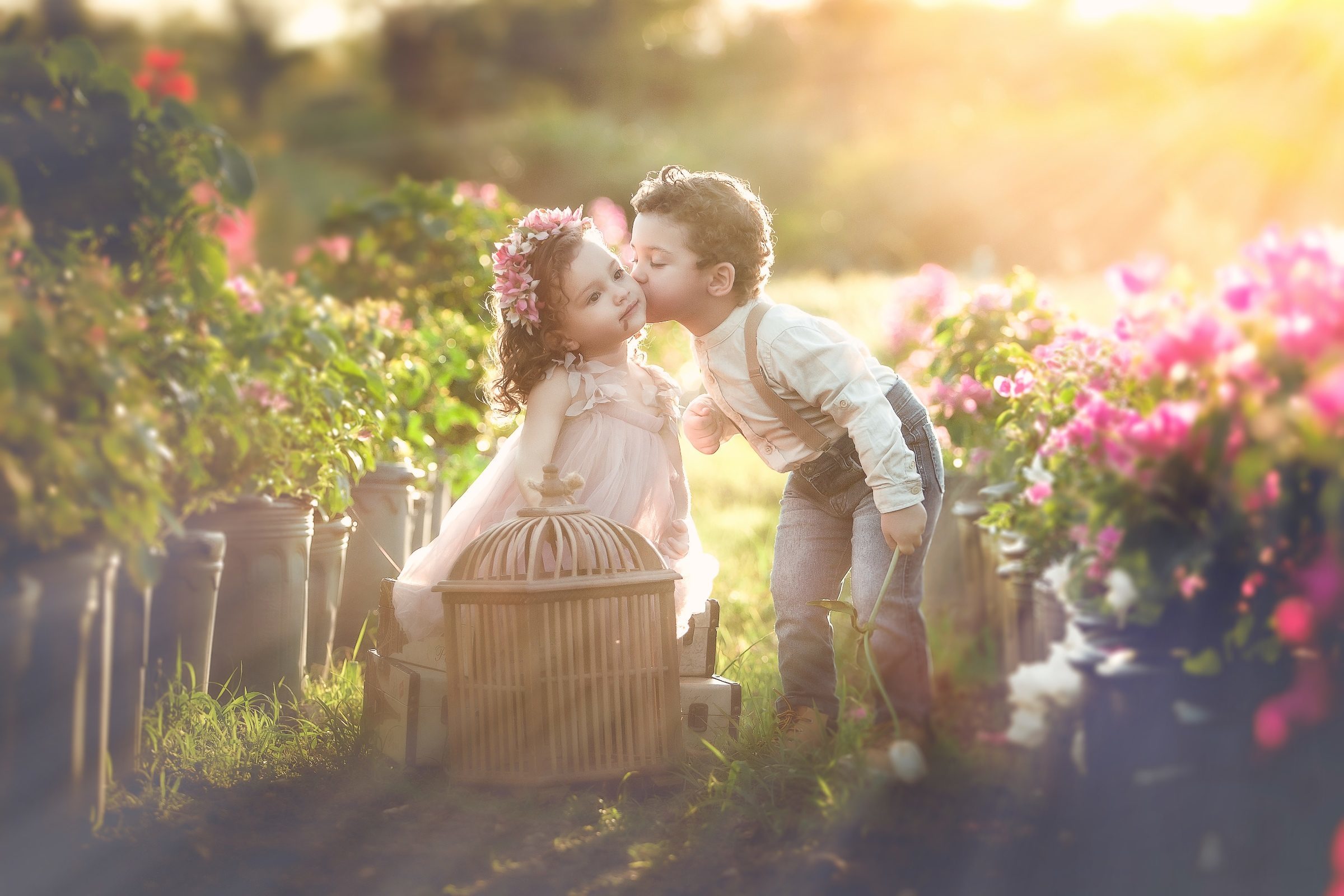 Foto de Falar com: Joyce ou Heber 10