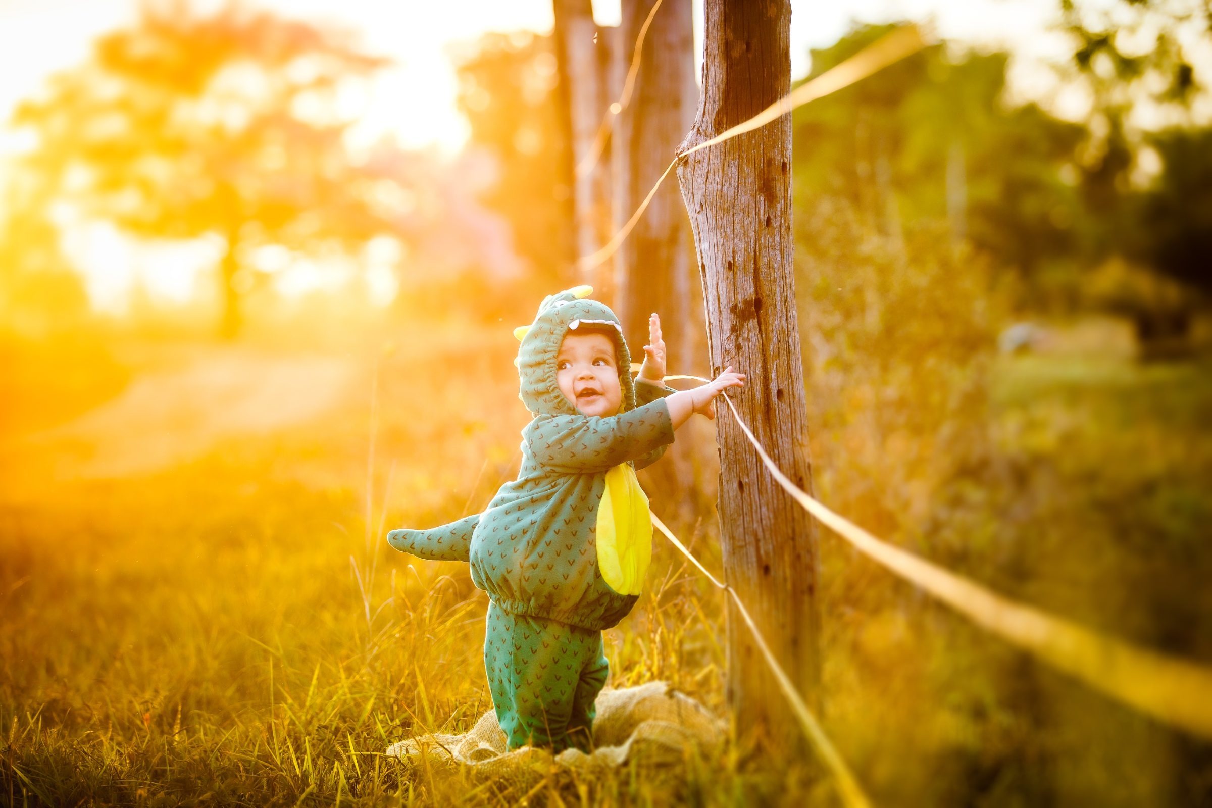 Foto de Falar com: Joyce ou Heber 30